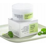 Cosrx Centella Blemish Spot Cream protizánětlivý krém s extraktem pupečníku asijského 30 ml – Zboží Dáma