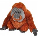 WILD Orangutan 30 cm