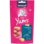 Vitakraft Cat Yums Losos Omega 3 40 g – Hledejceny.cz