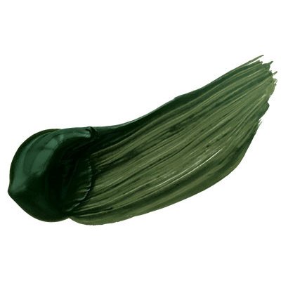 Gesso Holbein Akrylová barva 300 ml Terre Verte – Hledejceny.cz