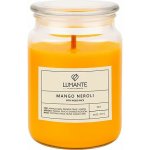 FLAGRANTE Mango Neroli 511 g – Zbozi.Blesk.cz