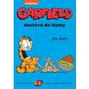 Garfield Garfield dostává do tlamy č. 62