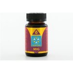 Bewit Prawtein Mig 100 ml – Hledejceny.cz