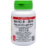 Sinecura MAH2.9linggui zhugan tang 60 tablet – Hledejceny.cz