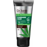 Dr. Santé Cannabis Hair Conditioner 200 ml – Zboží Mobilmania