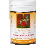 TCM Herbs Lingzhi Kořen života 200 Ganoderma 30 g práškového extraktu – Hledejceny.cz