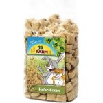 JR Farm Ovesné polštářky 100 g – Zboží Mobilmania