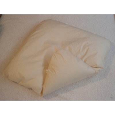 Pro útulný domov Péřová výplň do zavinovačky dráček – Zboží Dáma