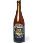 Matuška Raptor IPA 15° 0,75 l (sklo) – Sleviste.cz