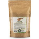 Bio-detox Psyllium vláknina 500 g – Hledejceny.cz