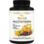 VEMICA Premium Multivitamin 120 kapslí – Hledejceny.cz