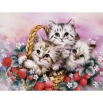 Norimpex Diamantové malování Koťata v košíku 30 x 40 cm – Sleviste.cz