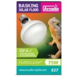 Arcadia Basking Solar Flood 75W – Zbozi.Blesk.cz