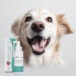 Oroxid forte roztok pro ústní hygienu 250 ml – Zboží Dáma