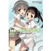 Komiks a manga Accel World, Vol. 20 (light novel)