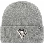 '47 Brand Pittsburgh Penguins Brain Freeze – Hledejceny.cz