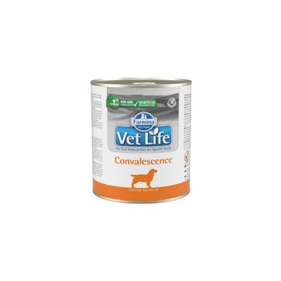 Vet Life Natural (Farmina Pet Foods) Vet Life Natural Dog konz. Convalescence 300g