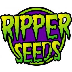 Ripper Seeds Sour Ripper semena neobsahují THC 5 ks