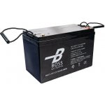 Boss DEEP Cycle Gel 12V 115Ah DG12-115 – Zboží Živě