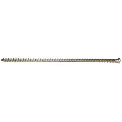 Vruty RAPI-TEC VG 8x260mm válcová hlava TX40 galvanický zinek – Hledejceny.cz