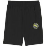 Puma ACTIVE SPORTS WOVEN SHORTS B JR – Zbozi.Blesk.cz
