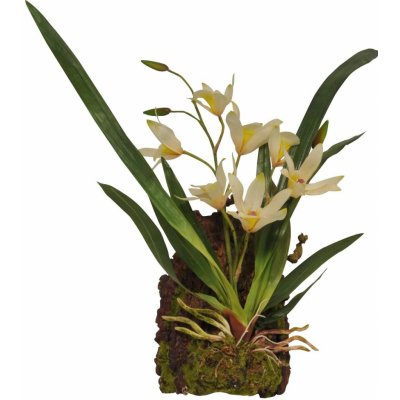 Lucky Reptile Závěsná orchidej bílá 20x30 cm