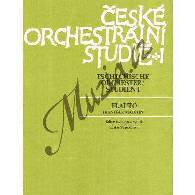 Vyhledávání „České orchestrální studie“ – Heureka.cz