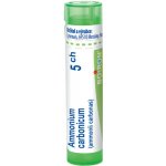 AMMONIUM CARBONICUM POR 5CH GRA 4G – Hledejceny.cz