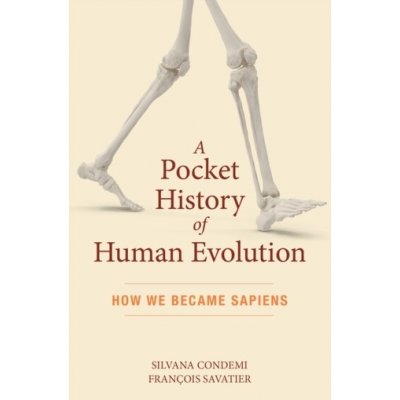 Pocket History of Human Evolution – Hledejceny.cz