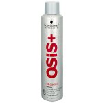 Schwarzkopf Elastic Flexibilní vlasový sprej 500 ml – Zbozi.Blesk.cz