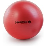 Ledragomma Gymnastik Ball Maxafe 53 cm – Zbozi.Blesk.cz