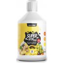 Czech Virus SuperVita PRO V2.0 500 ml zázvor