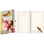 Kateřiny Winterové zábavný, 13 × 21 cm 2026 – Zboží Dáma Kateřiny Winterové zábavný, 13 × 21 cm 2026 – Zboží Dáma