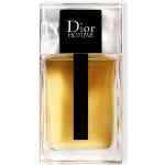 Christian Dior toaletní voda pánská 100 ml – Zboží Dáma