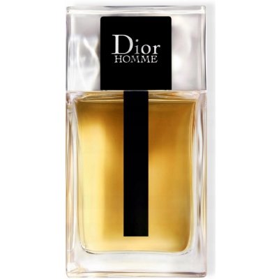 Christian Dior toaletní voda pánská 100 ml – Zboží Dáma