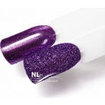 NL nails professional GLITTER POWDER – Hledejceny.cz