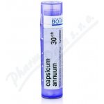 CAPSICUM ANNUUM POR 30CH GRA 1X4G – Hledejceny.cz