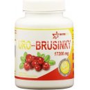 Uro Brusinky 60 tablet