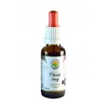 Salvia Paradise Ořešák černý AF tinktura 30 ml – Hledejceny.cz