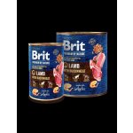 Brit Premium by Nature Dog Lamb with Buckwheat 800 g – Zbozi.Blesk.cz