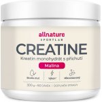 Allnature Sportlab Creatine monohydrát 300 g – Zboží Mobilmania