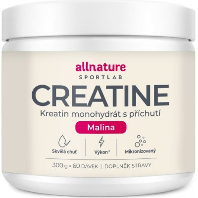 Allnature Sportlab Creatine monohydrát 300 g – Zboží Mobilmania