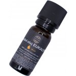 Voja Home Přírodní esenciální olej Eukalyptus 10 ml – Hledejceny.cz