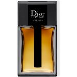 Christian Dior Intense parfémovaná voda pánská 100 ml – Zboží Mobilmania