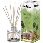 Bolsius Diffuser New Delhi limited edition vonná stébla 100 ml – Hledejceny.cz