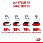 Royal Canin Puppy Medium 10 x 140 g – Zboží Mobilmania