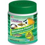Ocean Nutrition Spirulina Flakes 156 g – Zboží Mobilmania