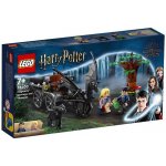 LEGO® Harry Potter™ 76400 Bradavice: Kočár a testrálové – Zboží Živě