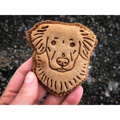 TVOŘÍTKO Nova Scotia Duck Tolling Retriever III - vykrajovátko – Hledejceny.cz