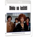 Dívka na koštěti BD – Hledejceny.cz